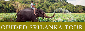 srilanka-tour-packages