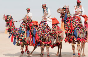 puskar-camel-fare-2019