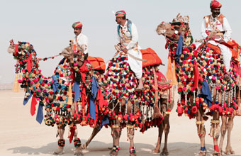 puskar-camel-fare-2019